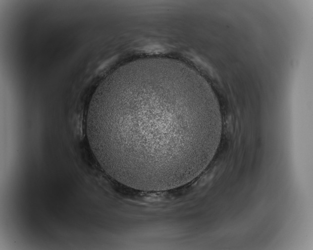 X0000099951205200805301230
