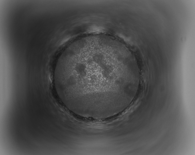 X0000099951206200805301230