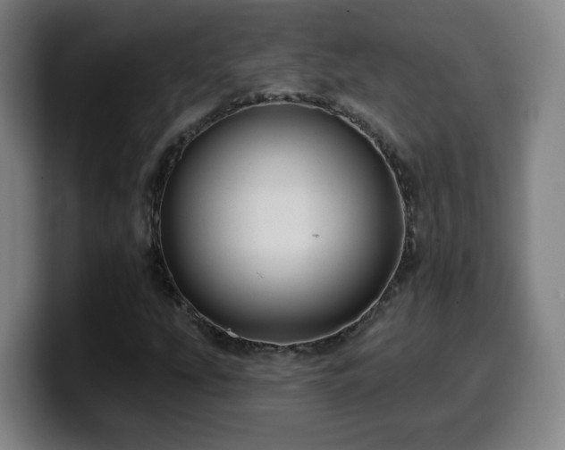 X0000099951207200805301230