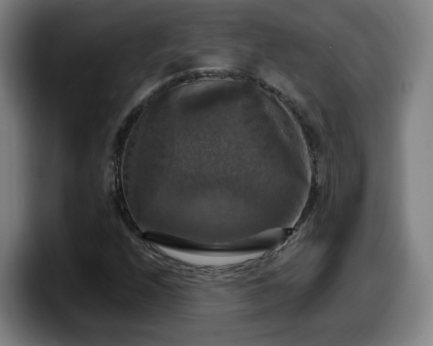 X0000099951208200805301230