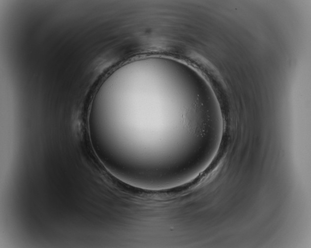 X0000099951210200805301230