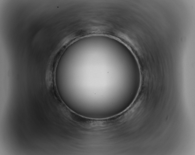 X0000099951211200805301230