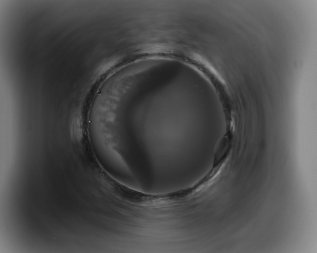 X0000099951213200805301230