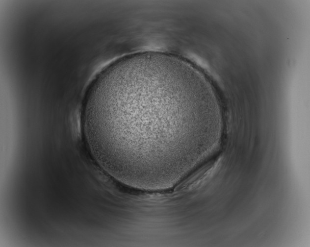 X0000099951214200805301230