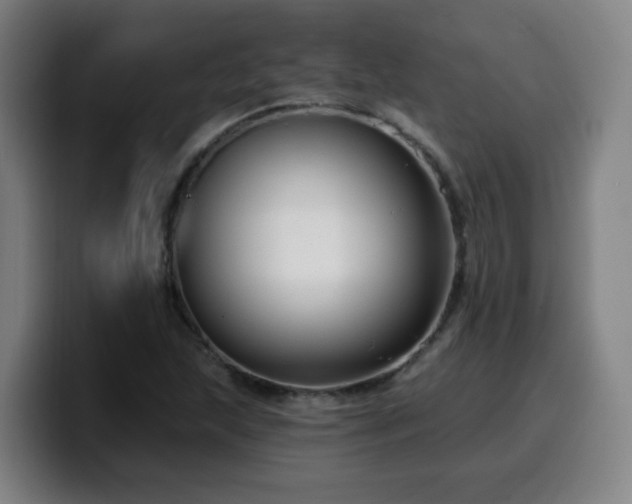 X0000099951215200805301230