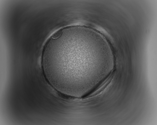 X0000099951216200805301230