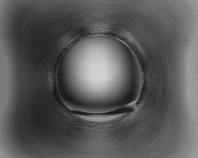 X0000099951217200805301230