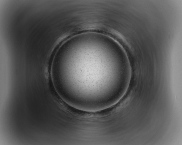 X0000099951218200805301230