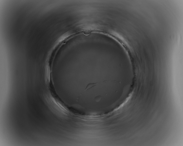 X0000099951219200805301230