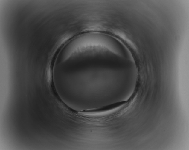 X0000099951221200805301230