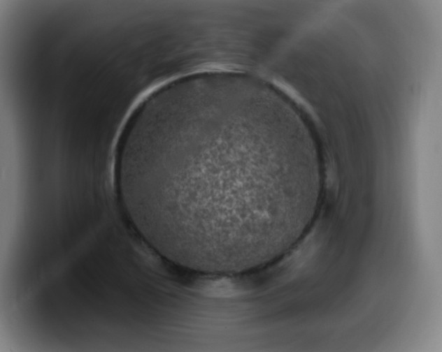 X0000099951222200805301230