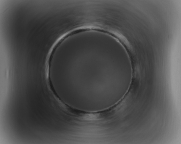 X0000099951224200805301230