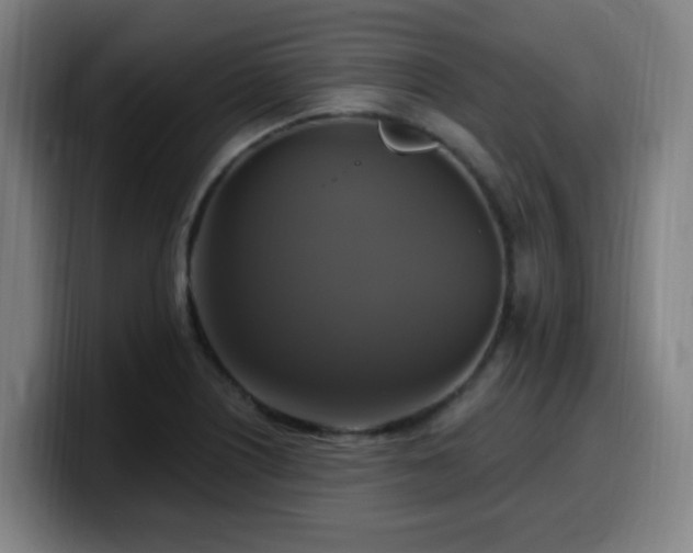 X0000099951226200805301230