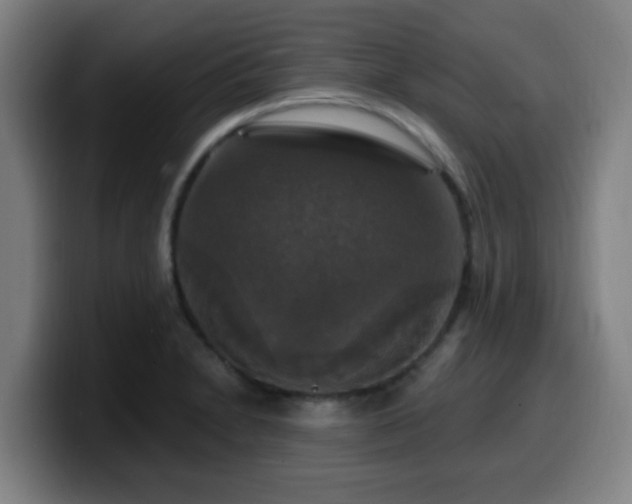X0000099951230200805301230