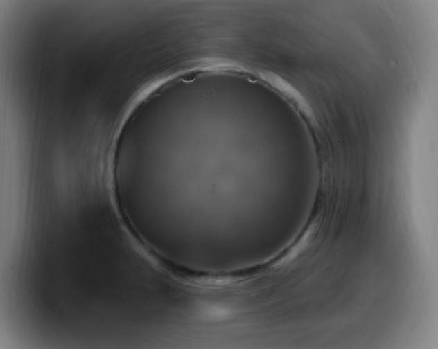 X0000099951231200805301230