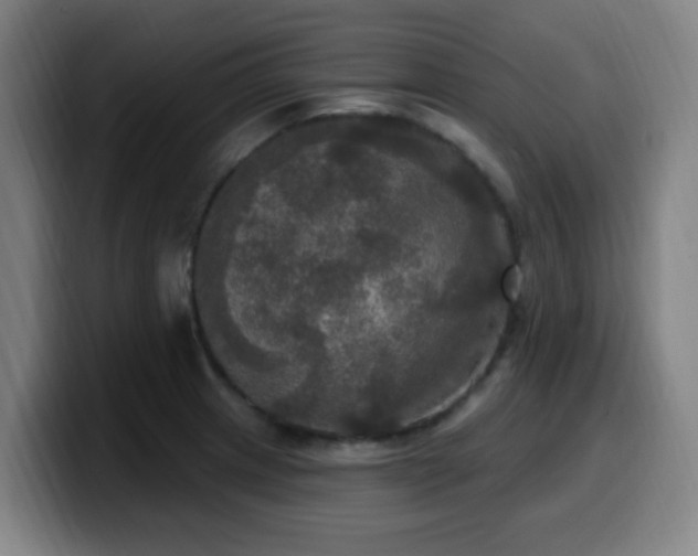 X0000099951233200805301230