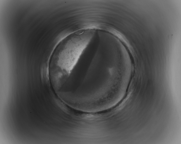 X0000099951234200805301230