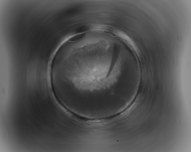 X0000099951235200805301230