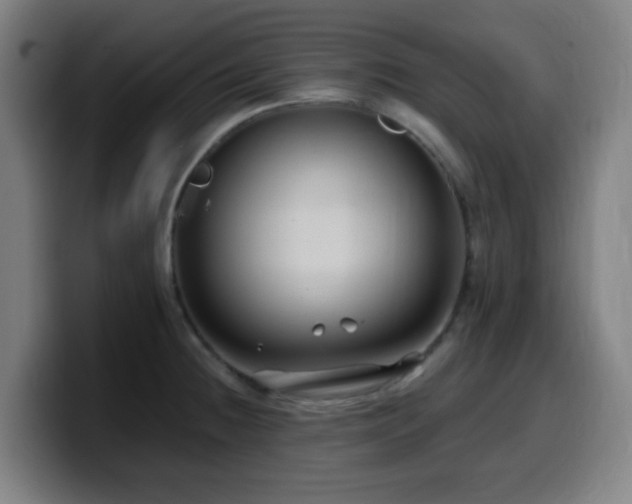 X0000099951236200805301230
