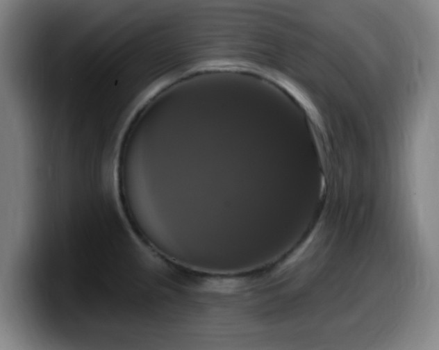 X0000099951237200805301230