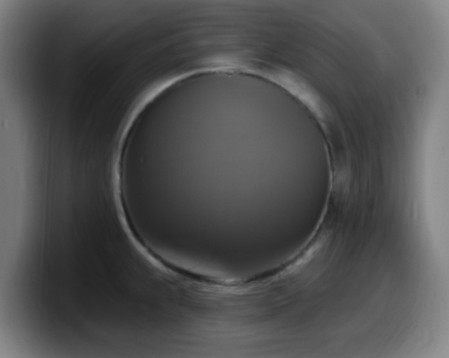 X0000099951239200805301230