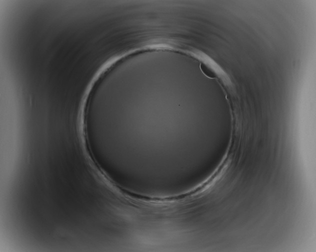X0000099951240200805301230