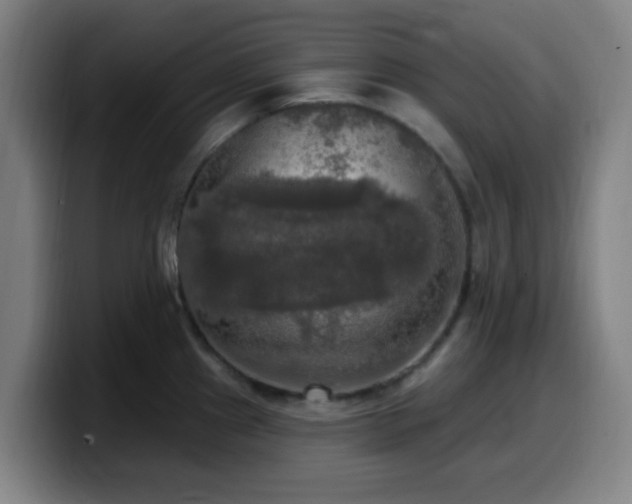 X0000099951241200805301230