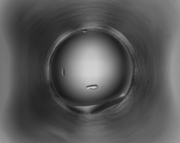 X0000099951242200805301230
