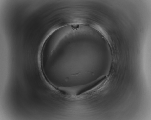 X0000099951243200805301230