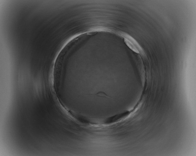 X0000099951244200805301230