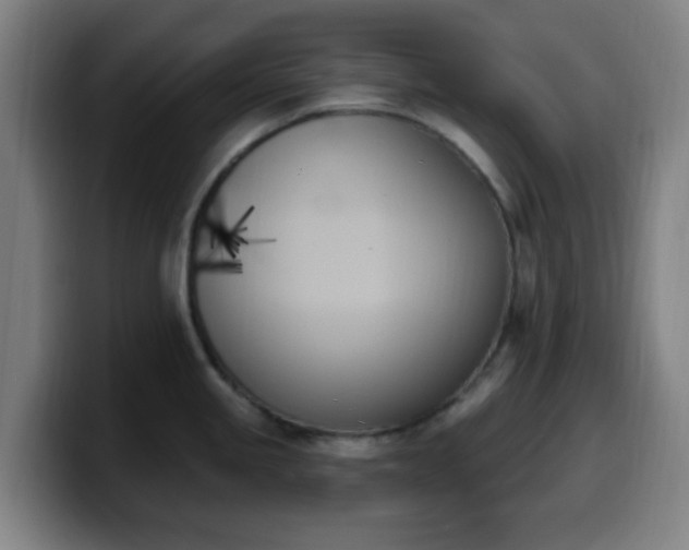 X0000099951245200805301230