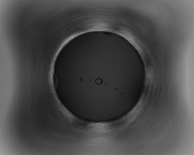 X0000099951246200805301230