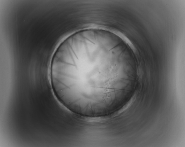 X0000099951247200805301230