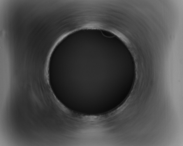 X0000099951248200805301230