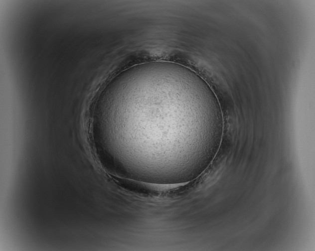 X0000099951249200805301230