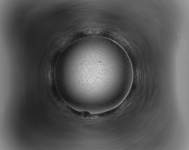 X0000099951250200805301230
