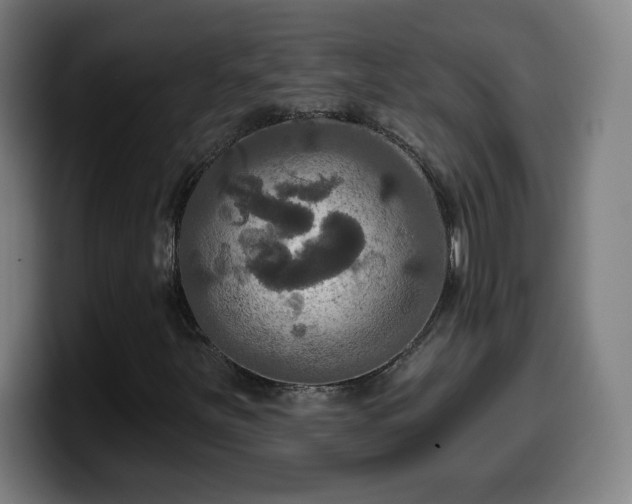 X0000099951251200805301230