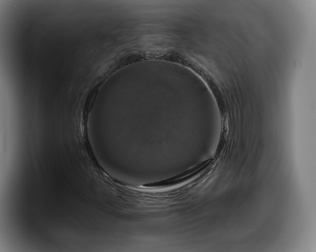 X0000099951252200805301230