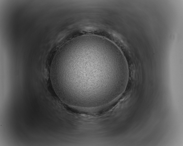 X0000099951253200805301230