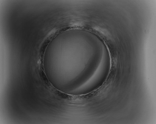 X0000099951254200805301230