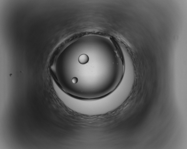 X0000099951256200805301230