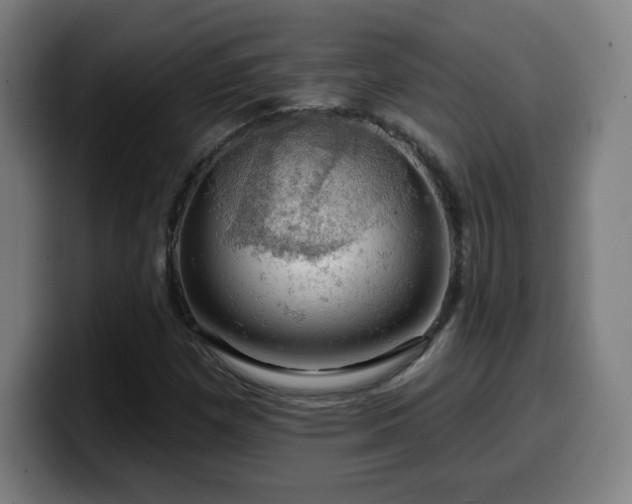 X0000099951257200805301230
