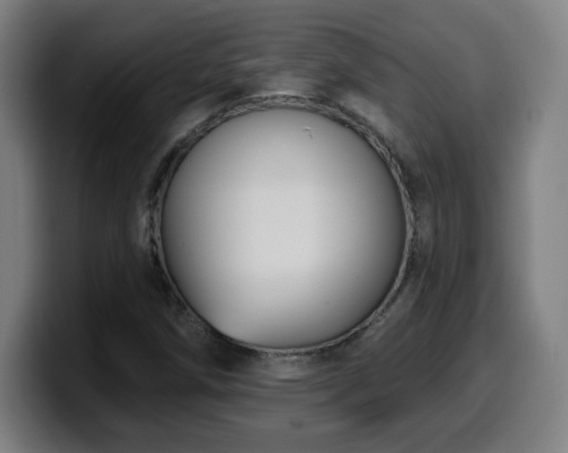 X0000099951258200805301230