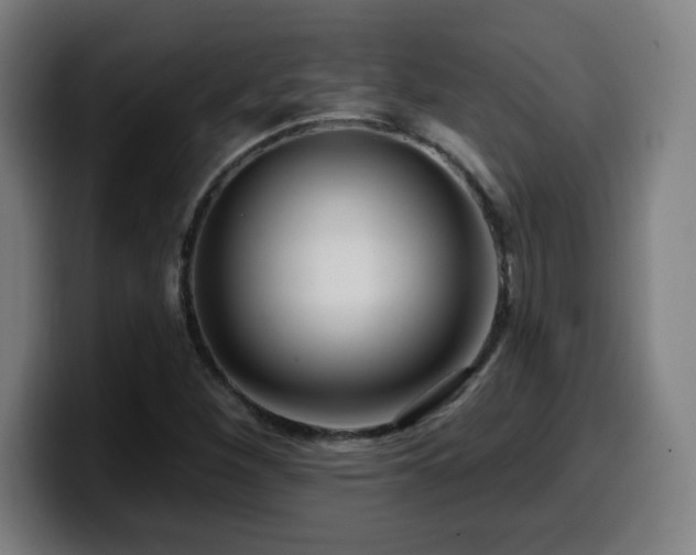 X0000099951260200805301230