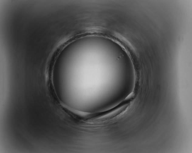 X0000099951261200805301230