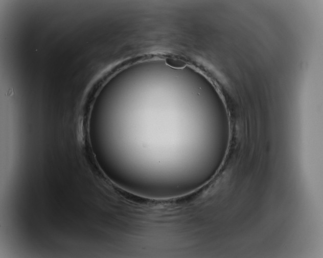 X0000099951262200805301230
