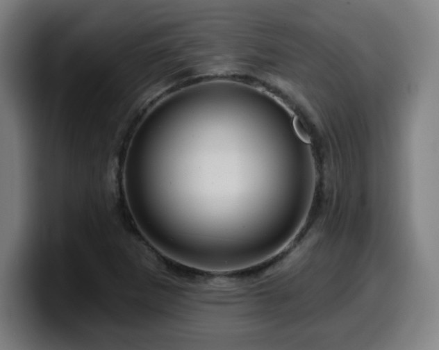 X0000099951265200805301229