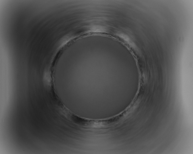 X0000099951266200805301229