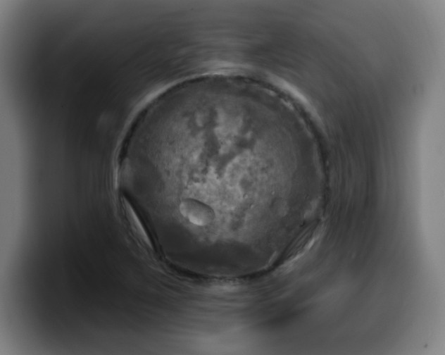 X0000099951267200805301229