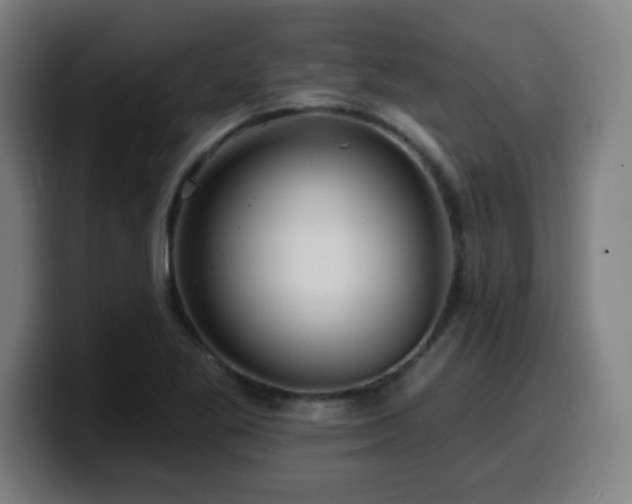 X0000099951269200805301229